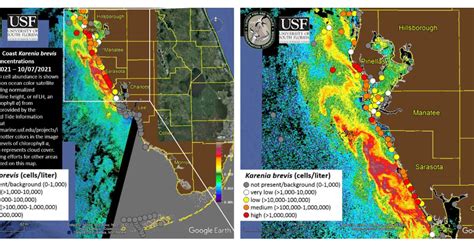 Red Tide Outbreaks Spreading Along Gulf Beaches Wusf Public Media