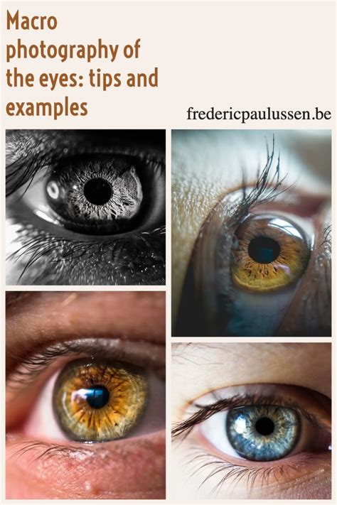 Macro Photography Of The Eyes Tips And Examples Macro Photography