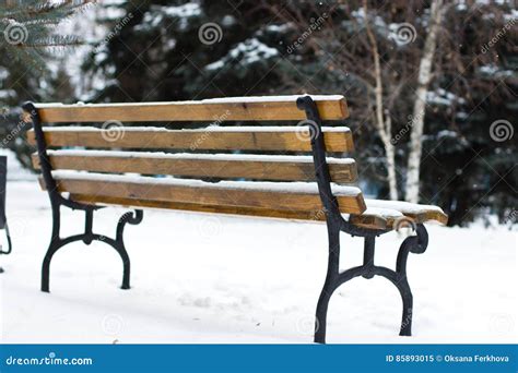 Bench In The Park In Winter Stock Image Image Of Nature Peaceful