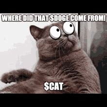 Want to discover art related to dogecoin? Doge Moon GIFs | Tenor