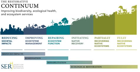 The Un Decade On Ecological Restoration Ten Guiding Principles