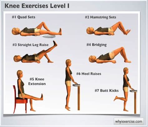 Physical Therapy Printable Knee Strengthening Exercises