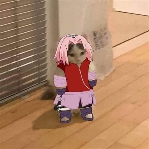 A Cartoon Cat With Pink Hair And Purple Pants Is Standing In Front Of A