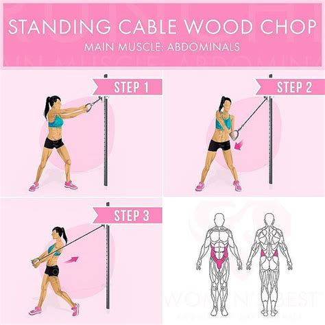 Standing Cable Wood Chop Main Muscle Abdominals Starting Position