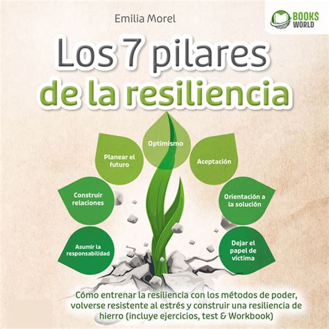Los 7 pilares de la resiliencia Cómo entrenar la resiliencia con los