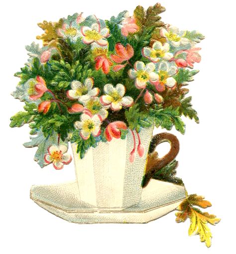 Cut flowers teapot flowers border flowers autumn flowers pink flowers vintage flowers. Vintage Teacup Image - Flowers - Mother's Day - The ...