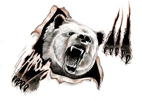 Bear Design Bear Tattoo Designs Grizzly Bear Tattoos Bear Sketch