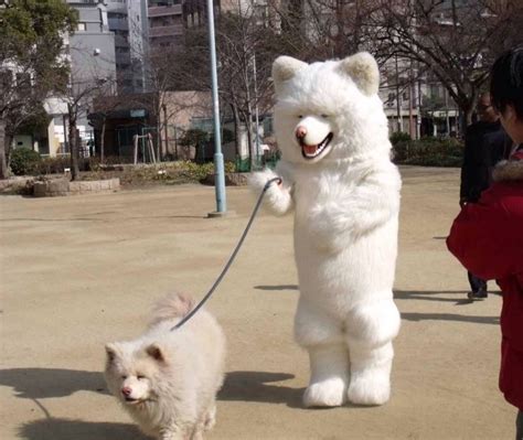 Just 11 Photos That Prove Why Japan Feeds Our Weird Side And Why We Re So Fascinated By It