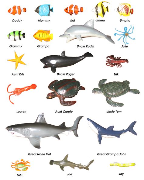 List Of Water Animals Names With Pictures