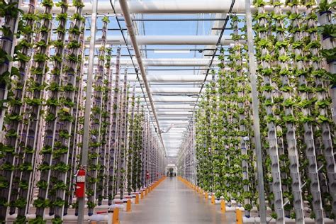 Fort Worth Report On Vertical Farming In North Texas Eden Green