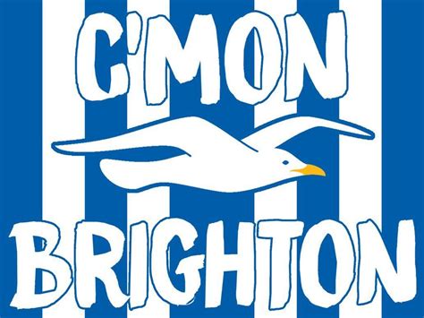 Brighton And Hove Albion Fc Wallpapers Wallpaper Cave