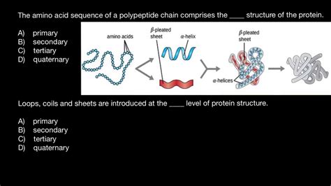 Fajarv Protein Structure Primary Secondary Tertiary