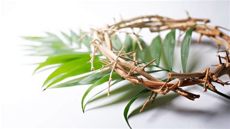 Happy Palm Sunday 2021 Images Wishes Pictures And Wallpapers