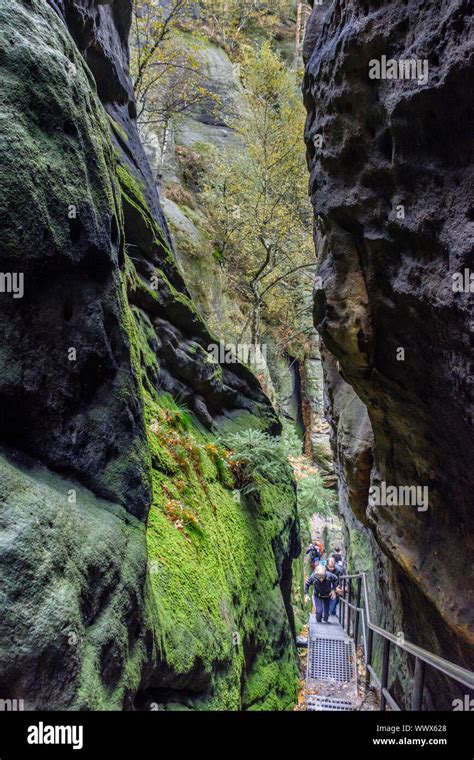 Autumn In The Elbe Sandstone Mountains Bad Schandau Region