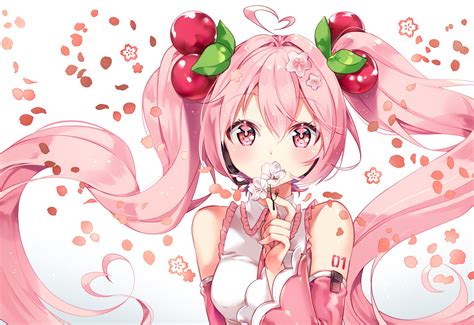Download Sakura Miku Anime Vocaloid Hd Wallpaper By Aram