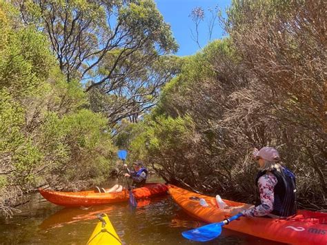 Kangaroo Island Outdoor Action All You Need To Know