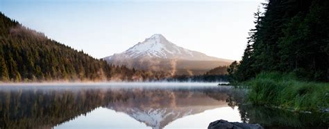 11 Trends to Embrace When Moving to the Pacific Northwest | ABODO 