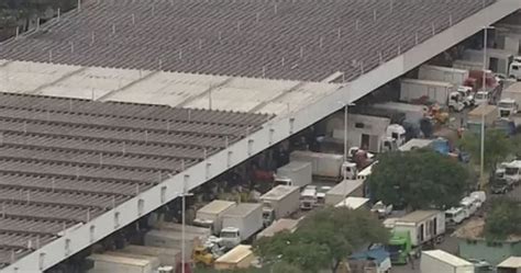Sky news' stuart ramsay reports on mass graves being dug near sao paulo in brazil, as the country is becoming overwhelmed by coronavirus.one team of workers. Reportagem desmente fake news de Bolsonaro sobre ...