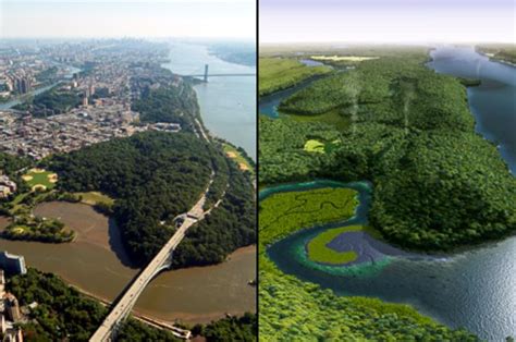 Before Urbanization Heres What New York Citys Residents Looked Like