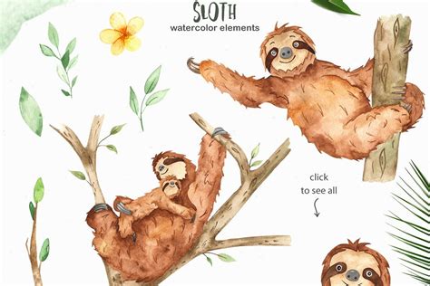 Cute Sloth Watercolor Collection Cute Sloth Sloth Graffiti Characters