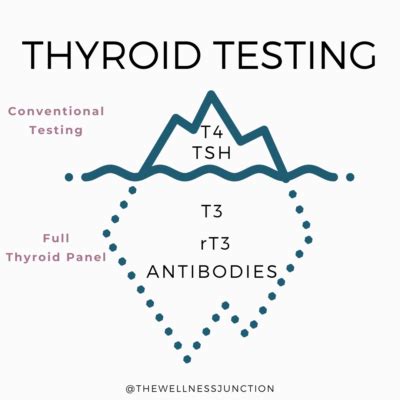 Understanding Your Thyroid Markers The Wellness Junction