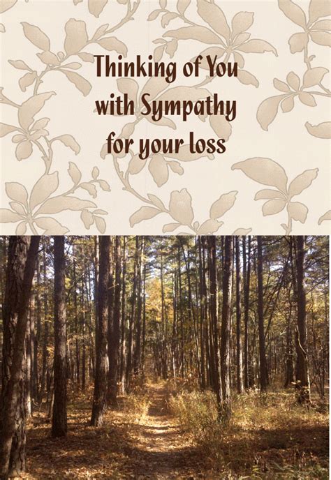 Sympathy Religious Cards Sy72 Pack Of 12 2 Designs