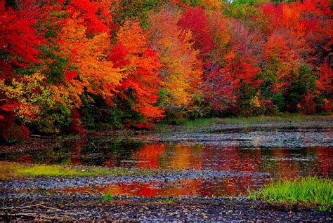 it s a gorgeous day gft s top 10 spots to view fall foliage in nj before it s gone kosher