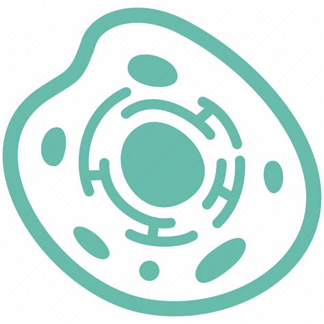 Biology Cytoplasm Human Cell Nucleus Icon Download On Iconfinder