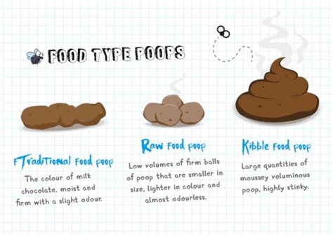 This Dog Poop Chart Shows What Healthy Dog Poop Looks Like Canine