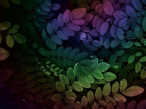 Leaves 4k Wallpapers For Your Desktop Or Mobile Screen Free And Easy To