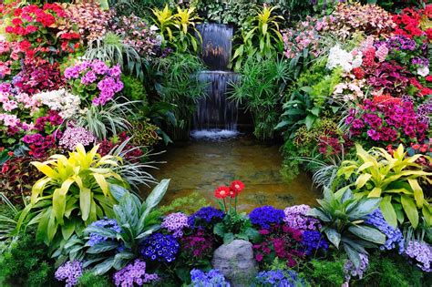 Most Beautiful Garden Waterfalls