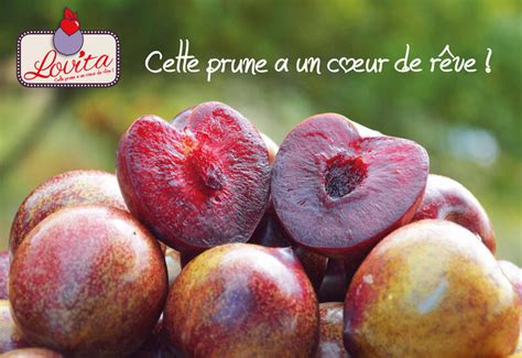Prune Début De Campagne Prometteur Pour Lovita Réussir Fruits