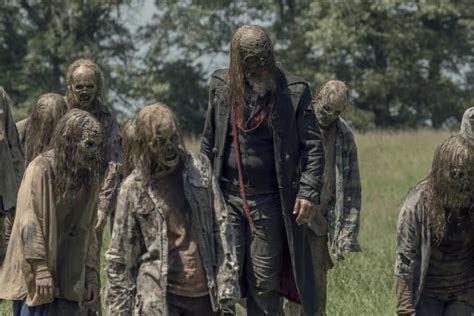 The ninth season is the freshest of the bunch, making it the seventh twd season overall to be certified fresh. The Walking Dead Review: We Are the End of the World ...