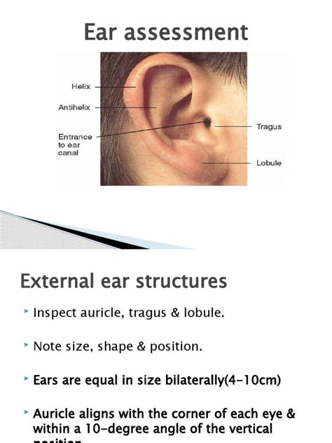 Ear Assessment Pdf Ear Hearing
