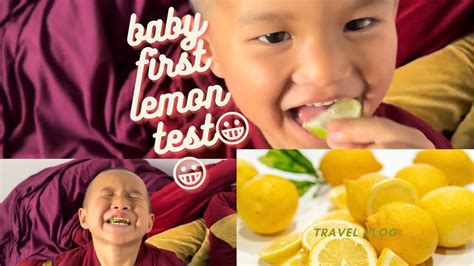 Baby First Lemon Test Babies Eating Lemons For The First Time