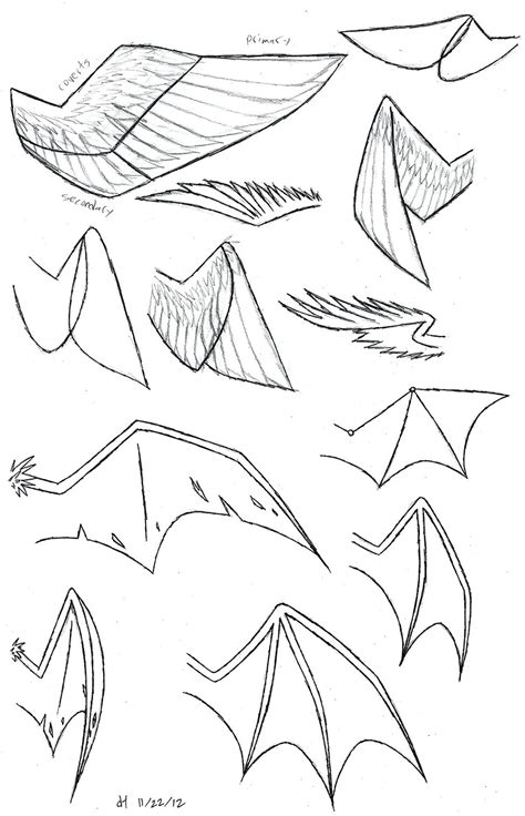 How To Draw Folded Dragon Wings Wing Study By