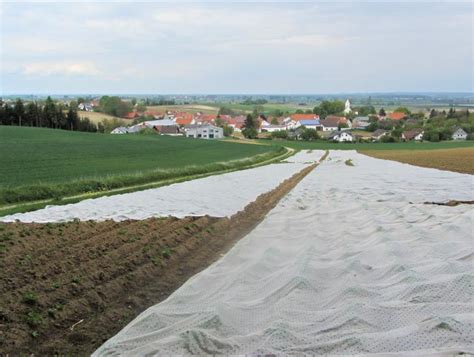 Maybe you would like to learn more about one of these? Ehekirchen - boden:staendig