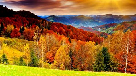 Forest Autumn Valley Mountains Wallpapers For Desktop Mountain Autumn