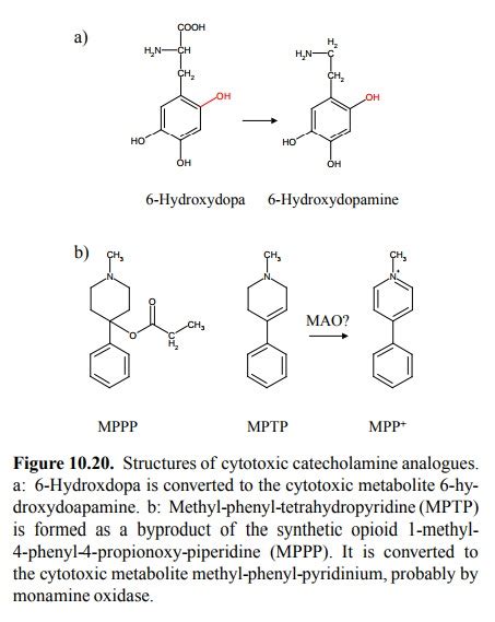 Monoamine Oxidase Inhibitors