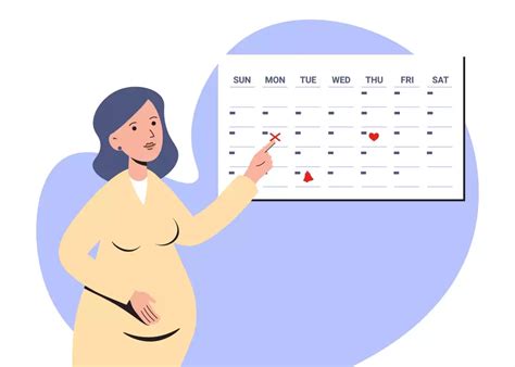 Calculadora gestacional descubra de quantas semanas você está grávida