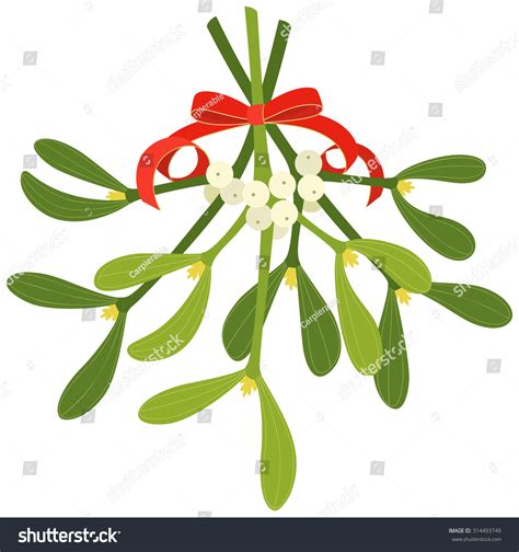 Mistletoe With Red Bow And Curly Ribbon Isolated On White Background