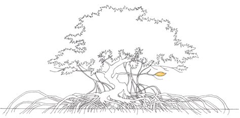 Mangrove Swamp Coloring Page Sketch Coloring Page