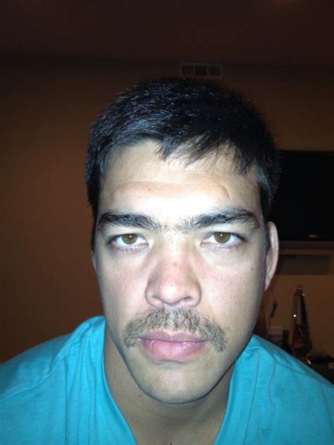 Wanderlei Silva Rocking Porn Stache Pics Underground Forums