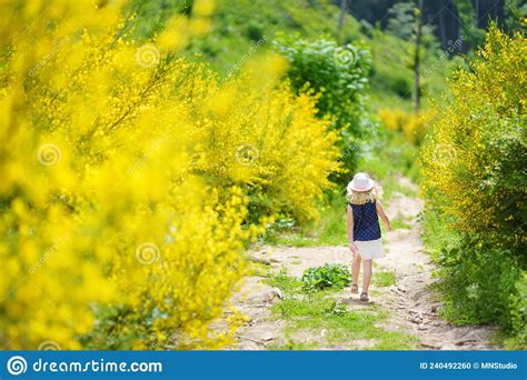 Young Girl Following A Footpath Around La Verna Sanctuary Chiusi Della