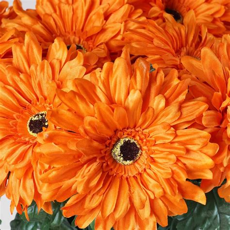28 Gerbera Daisy Flowers Bush Orange Efavormart