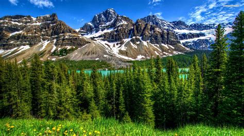 Find your perfect nature wallpaper for your phone, desktop, website and more! 1920X1080 HD Nature Wallpapers - Top Free 1920X1080 HD ...