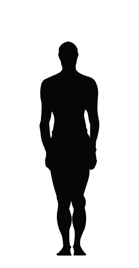 Human Body Silhouette Vector