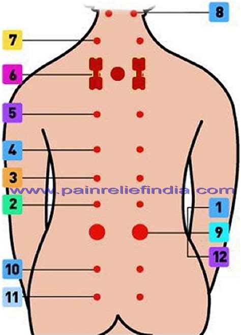 Back 12 Acupressure Therapy Points Acupressure Therapy Acupressure Points Healthy Exercise