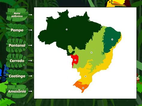 Biomas Brasileiros Diagrama Etiquetado The Best Porn Website