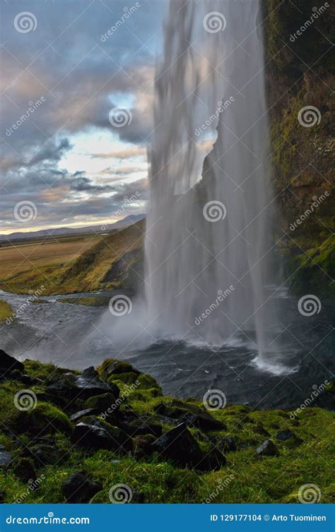 Seljalandsfoss Wasserfall Island Stockfoto Bild Von Wasserfälle Fälle 129177104